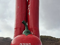 12월 14일 칠갑산,출렁다리..