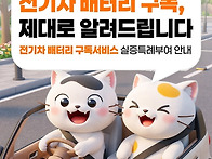 차는 구매하고, 배터리는 ..