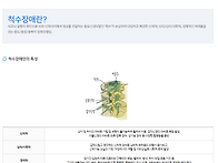 척수손상이란? (척수손상 ..