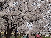 공지는 아니고 산..