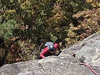 상데미암 여러분들이 보내..