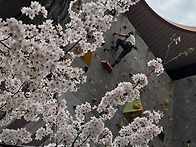 4월 6일(월)꽃보다 암벽