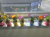 식목일 이야기와 ..