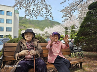 벚꽃길 따라 다녀온 봄마실