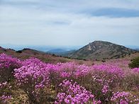 2026년 4월 일정..