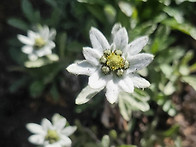 2026년 5월 일정..