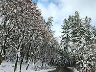 2022. 12. 25. 무등산