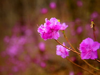 2026412.고려산, 혈구산 ..