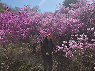 2026년4월7일 골..