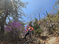 2026년4월8일 상..