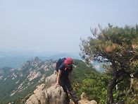 나한봉~
