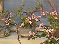 예쁜꽃.피워주는예쁜이들