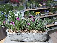 꽃피워주는예쁜이들