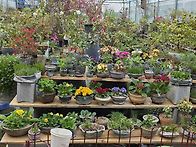 새로들인꽃없었으면허전하..