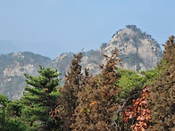 관악산 홀로 산행