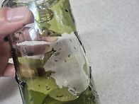 테무테무하더니 진짜 웃기..