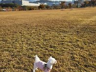 더 넓은 곳에서 ..