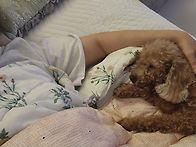 이사 잘했어요 윤..