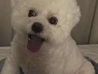 뚱