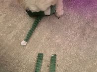 놀러가서 신났던 ..