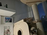 회사 마지막 정리..