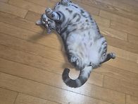 군인 아들 조공용..