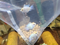 새식구가 생겼어요..