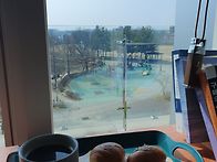 백수가 되었는데 ..