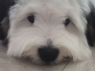 우리♡첫수영