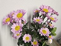 선물받은지 1주일..