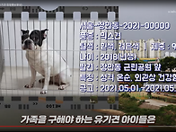 말해줘~ 너의 스토리 (f..