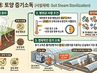 증기소독