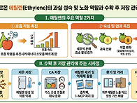 에틸렌(Ethylene)의 기능