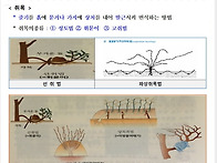 종자기사 기출문제..