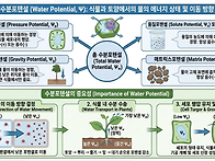 수분포텐설