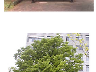 구상과 자료들