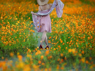 2026 / 10 / 06 화요일 안성 & 당남리섬..