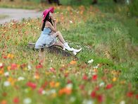 오산천 장미 / 양귀비
