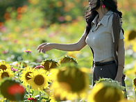 호루고루성 해바라기~1