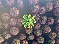 제주바다길 걷기 ..