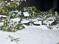 제주바다 걷기 2..