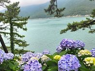 수국동산 에