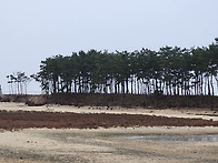 가을비 우산속