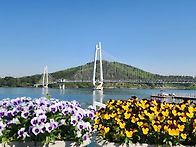 탑정호는 옳아요