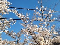 숨은 베이비 찿아보세요