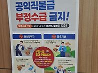 이번주 읍사무소 네번째