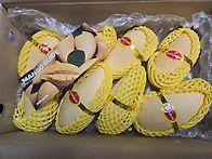 스테이홈 생일 선물이 왔떠..