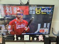 스테이홈 앗싸 !!^^ 한화..