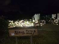 남이섬 백패킹