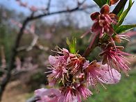 부모님 뵈러 고향에서 시제..